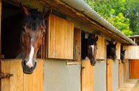 free Ballyvoy stable construction quotes